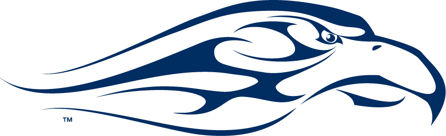 Liberty Flames 2003-2013 Secondary Logo v3 diy iron on heat transfer